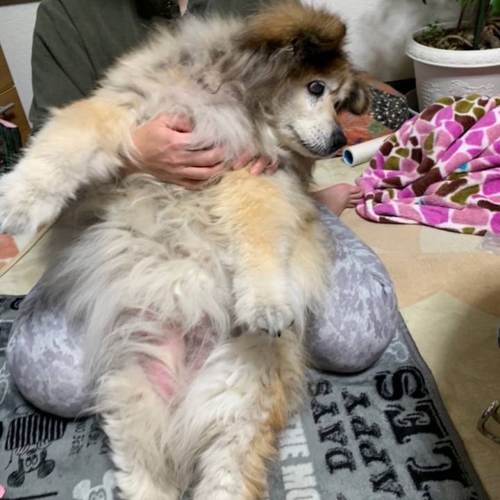 46a95cd6 b621 4909 8160 10562911df70 1636530024160