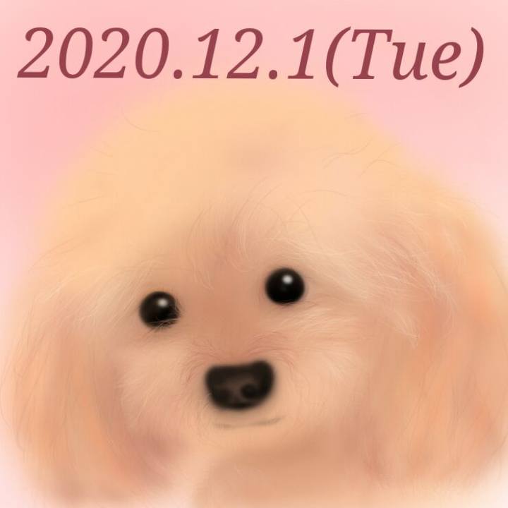 46a9861e e01c 49ad 9de6 4123e672daca 1606825403922