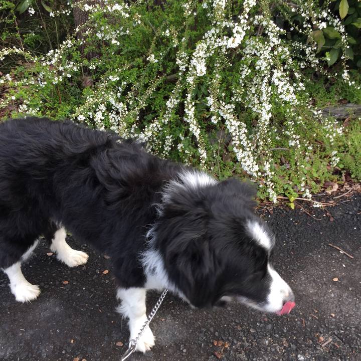 46a99c15 a920 4820 b7f1 bffbd101e0db 1552355233120