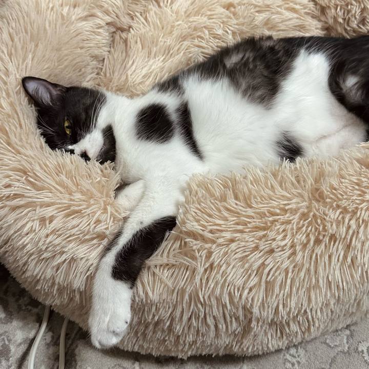 46a9bf3d 0f07 472e 8499 abdb2de9b7f6 1761034843452