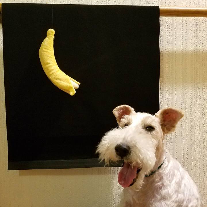 46a9dfde a3a6 4882 b760 92207753e464 1535720154328