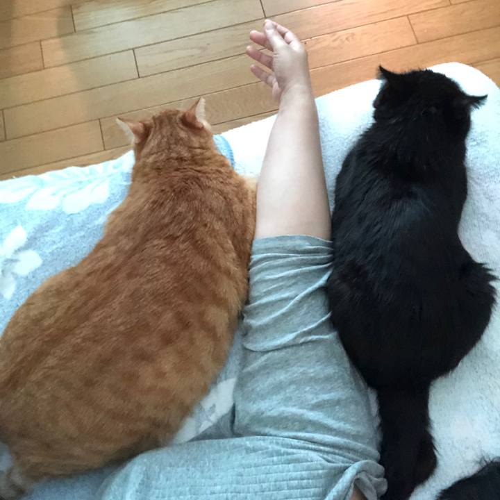 46a9ea11 f1a6 4f99 a612 90e7ef8d006b 1567293651838