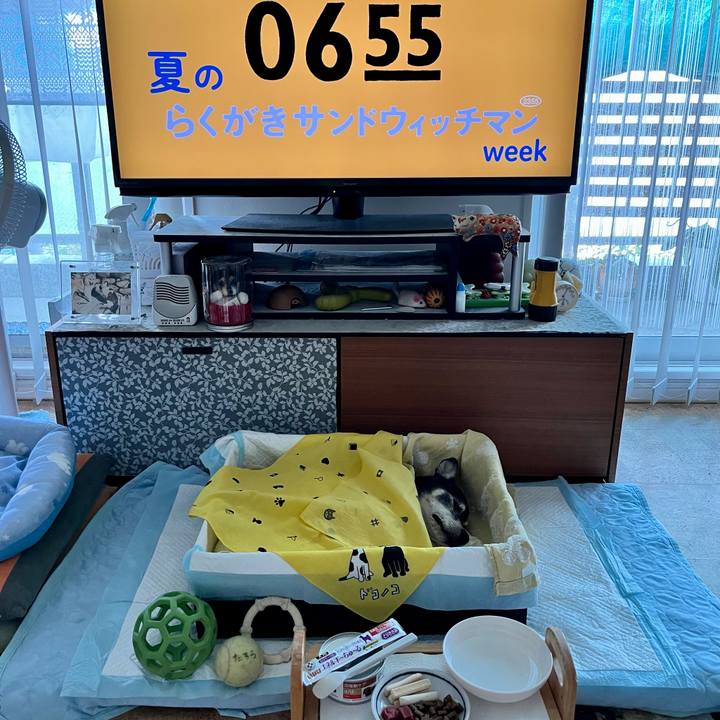 46aa02d6 a6c7 4c50 914e d2de6908a6db 1659478416483