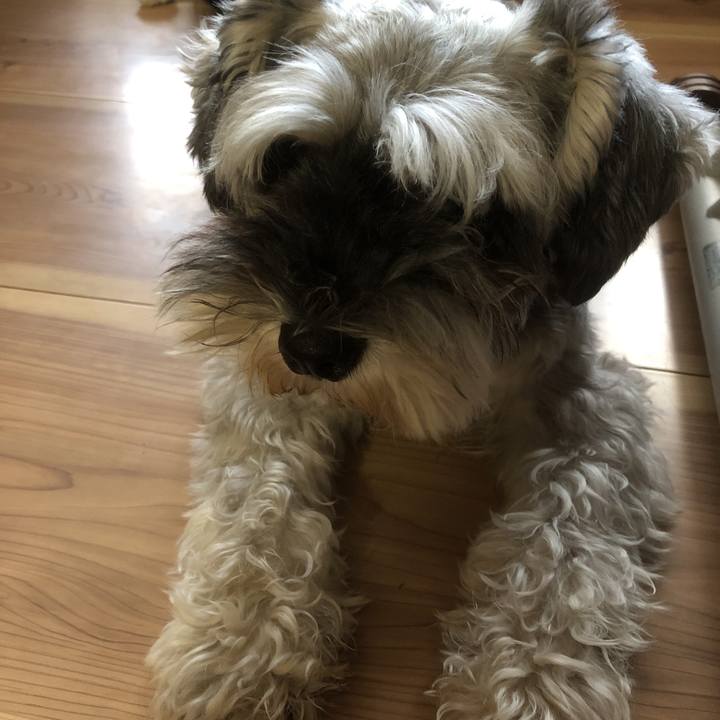 46aa1465 7b48 4ebe 8609 f2ff070986d0 1567743869858