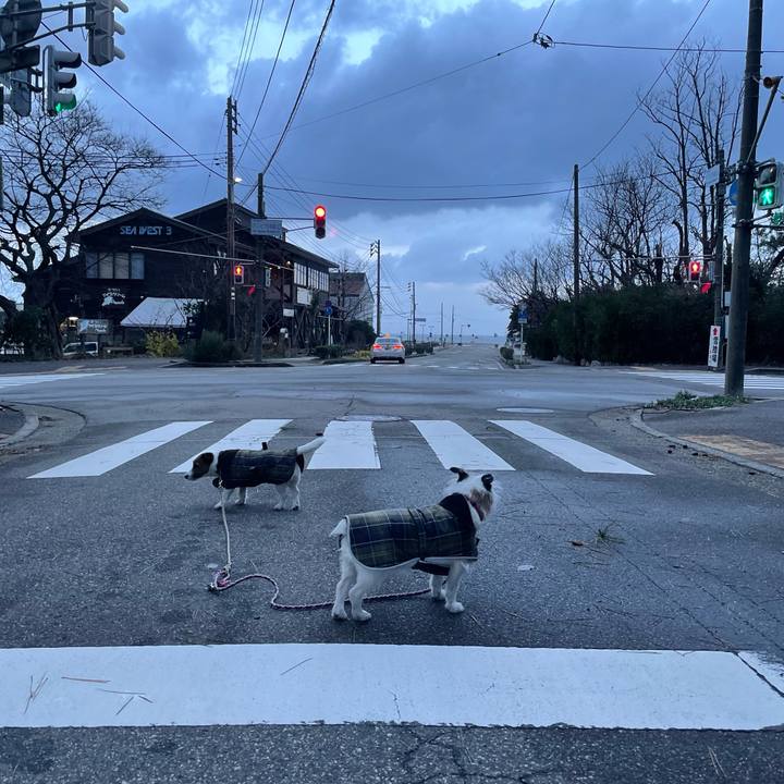 46aa1d31 7c55 4ada b7dd 98615663742b 1768086185567