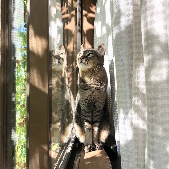 46aa28d5 ed4d 49c1 9f49 9f31339ed74f 1637292479872