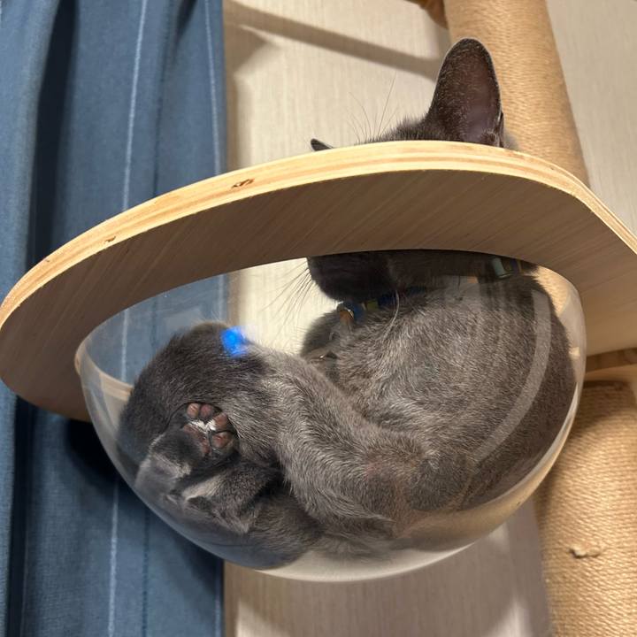 46aa2e61 83c7 48ad a439 081929a85888 1754816533985