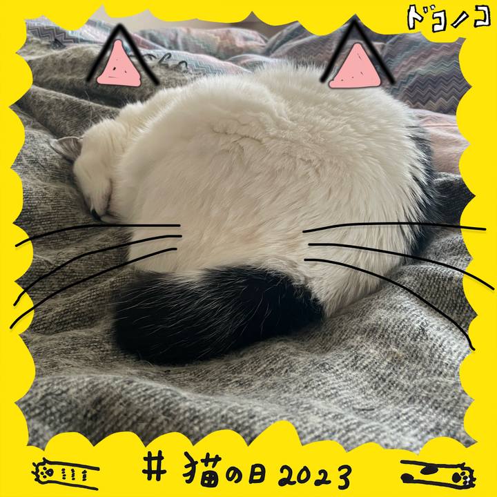 46aa5219 a34d 444c 9582 dbd5bfb23f26 1677069917243