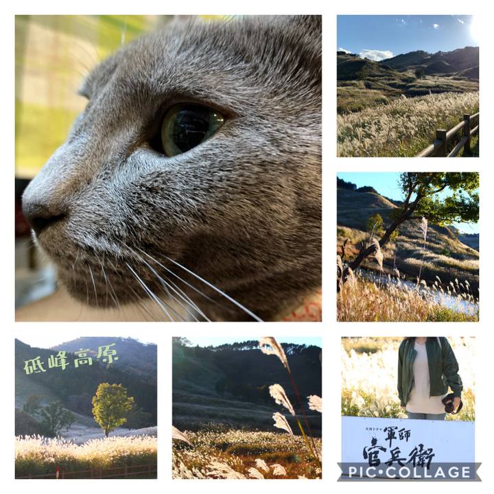 46aa71fd 3c03 495b bde0 30d41f7a1863 1603542793516