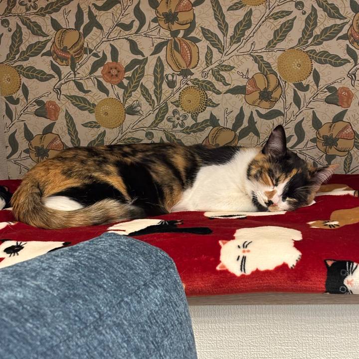 46aa73d1 bd05 4cb8 9b40 d2d4fd53127f 1767446767103