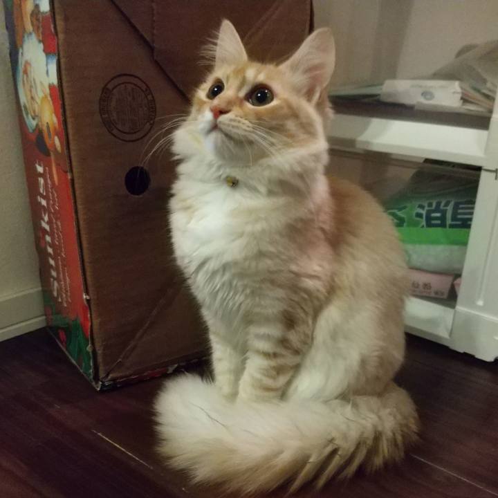 46aa7b75 5406 4dc5 947d c445aa02089b 1613079907037