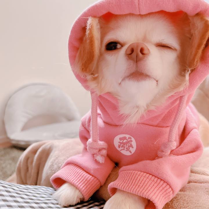 46aa7e7d ffbe 44d8 8995 9bf3cf0db95d 1675460369975