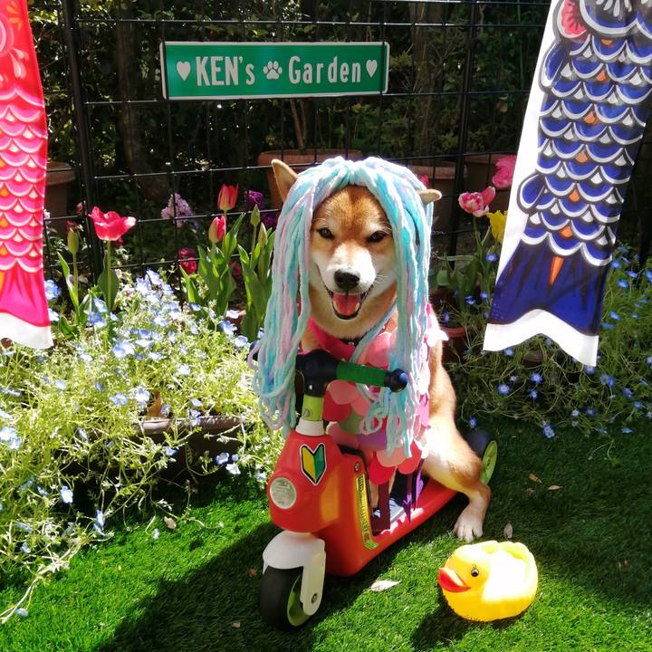 46aa9bf2 d33b 4cf4 b84d 70446b547989 1587273098022