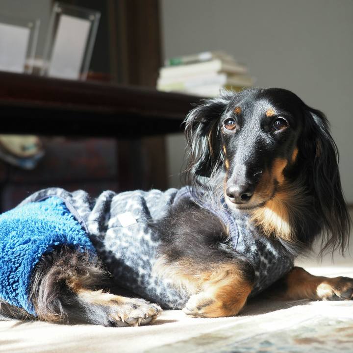 46aaa458 f5e5 4595 98f4 22b35bef0414 1581051135386