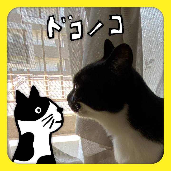 46aaa51c 51c9 4e21 b9ee 783754614689 1623395713418