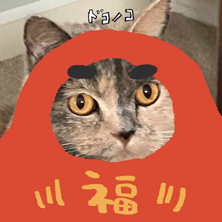 46aad6f0 933d 4fbb 865a ae93e338cbb8 1771936236157