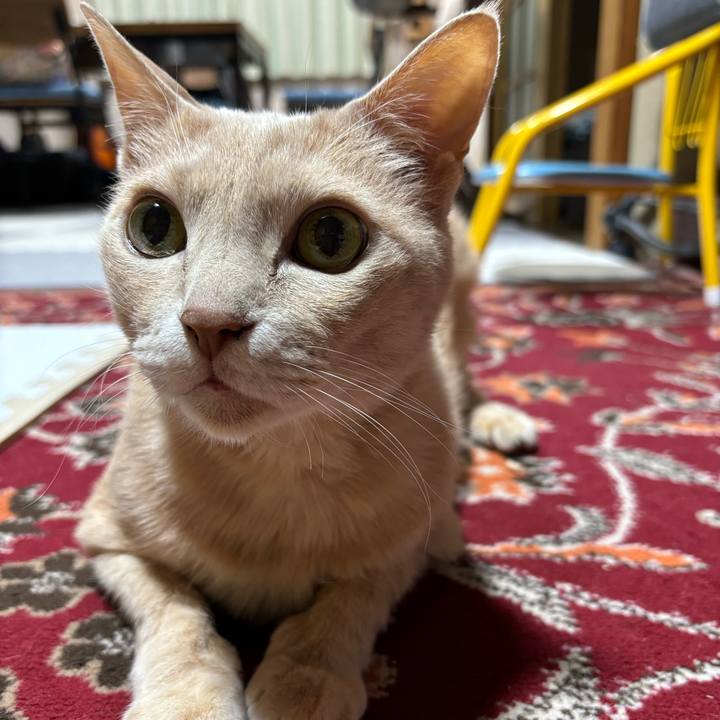 46aaf04e 4941 4676 a5aa d5110746a1be 1710934311229