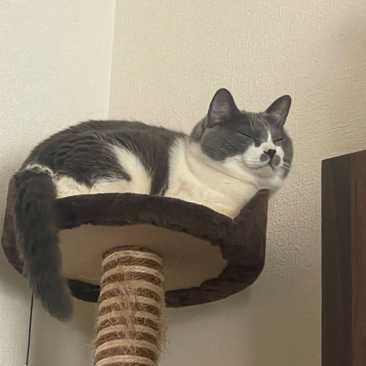 46ab320f 57f7 4976 94fa f352c4f6f7de 1711870917555