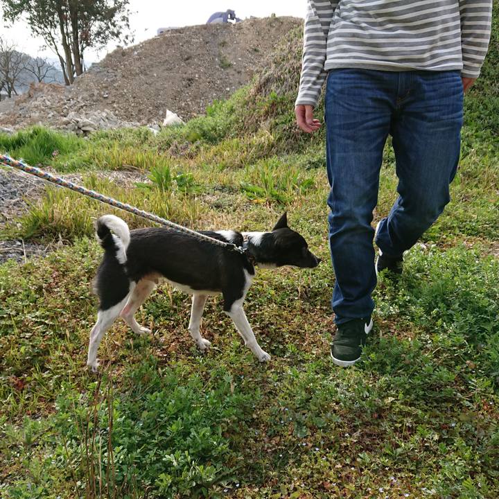 46ab57f1 e077 4d69 85ff 28390ff2bbe6 1553697019362