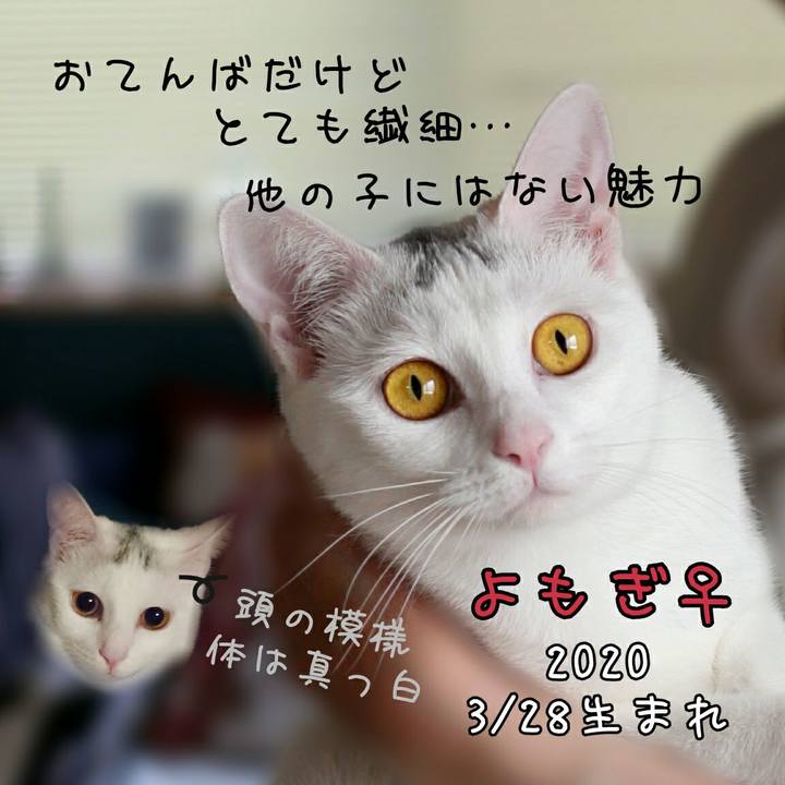 46abc106 ad2c 4036 87db 1cc5dc39e505 1630338670125