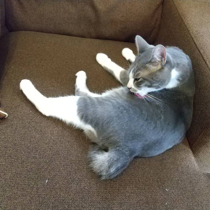 46abfd55 8df9 43a4 9337 9c13efa27990 1596161336034