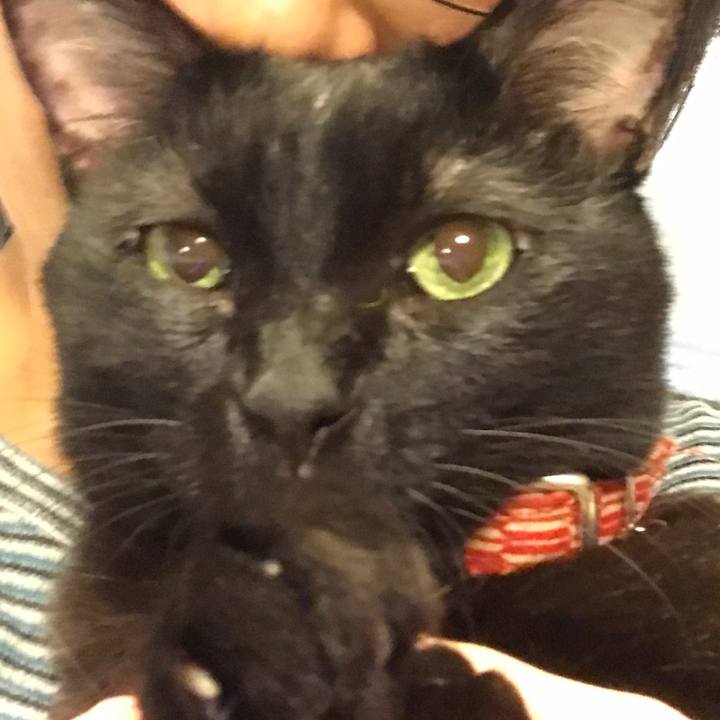 46ac0c05 ca68 47fb b4c8 acc6f9de4523 1566652650454