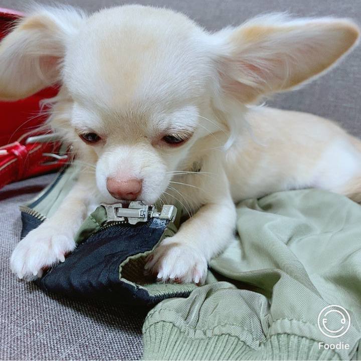 46ac26cc 2fe1 427f 9e3e bfe36c5fea8f 1732447481098