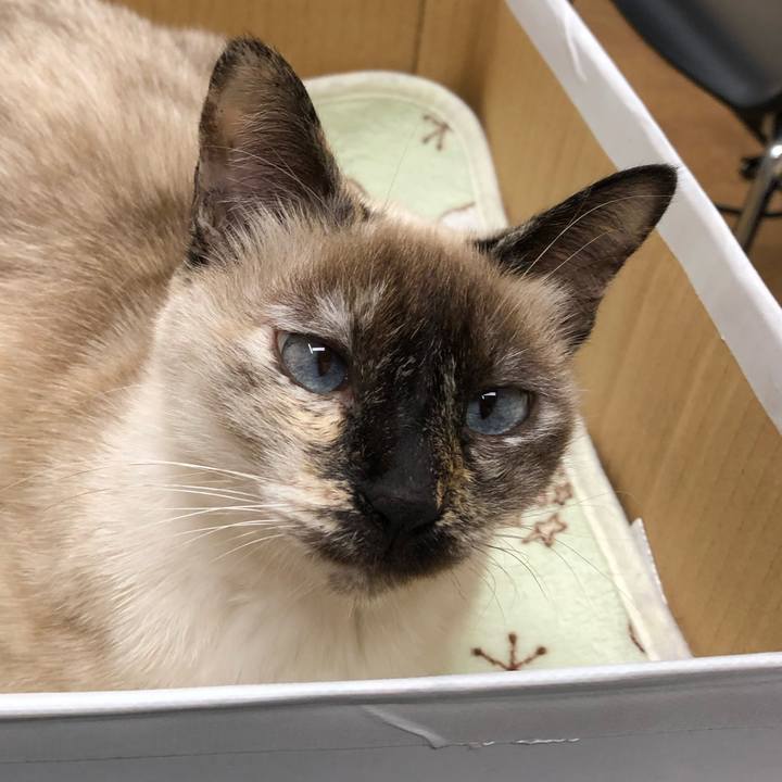 46ac5269 3501 4011 a411 1ccd75909b74 1577839182088