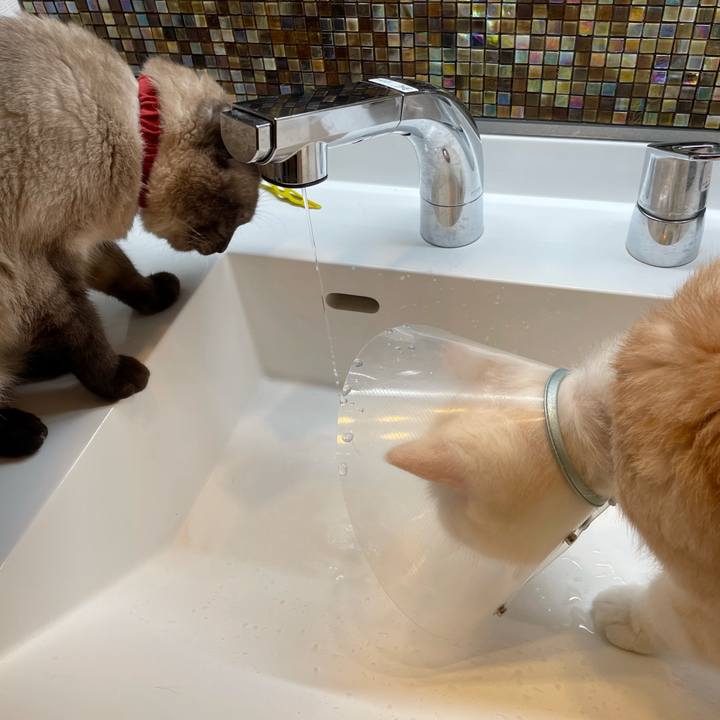 46ac5ee3 fb9f 4ba6 99d5 0db064835e3f 1753139160244