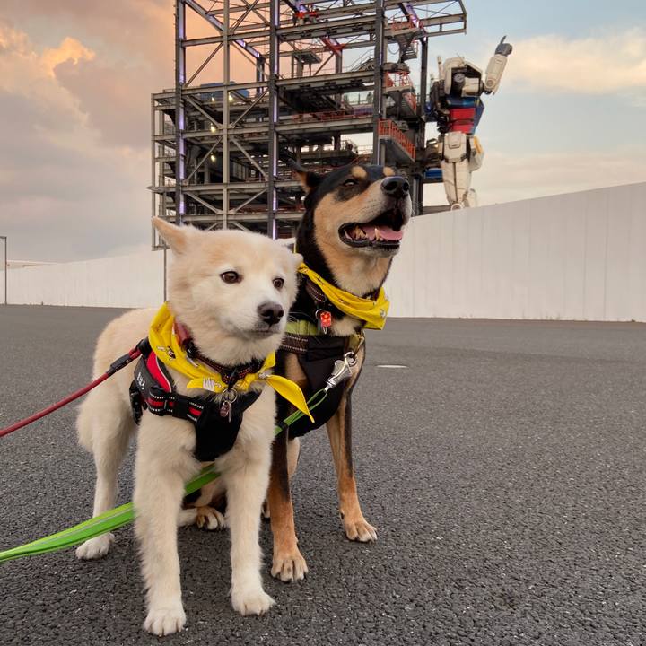 46ac83c5 ad27 4e3f b528 90f9d32d29b9 1699291011051