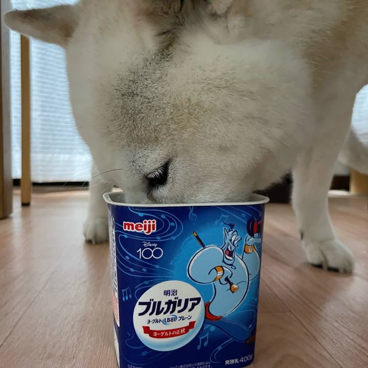 46ac8589 9d33 42fc 94ae 6b022a263779 1688738417394