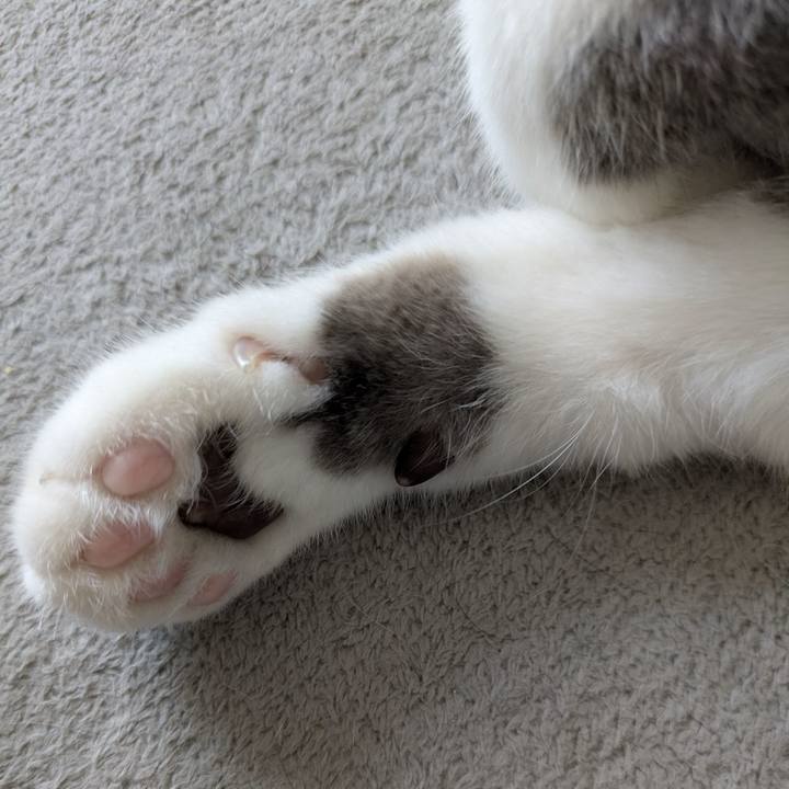 46acc41b 788a 4408 b575 f984db3b8e6a 1758856508356