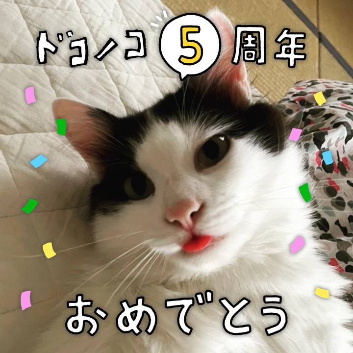 46accee9 c8e3 4f70 8c56 2df7e88f9d2a 1622979090445