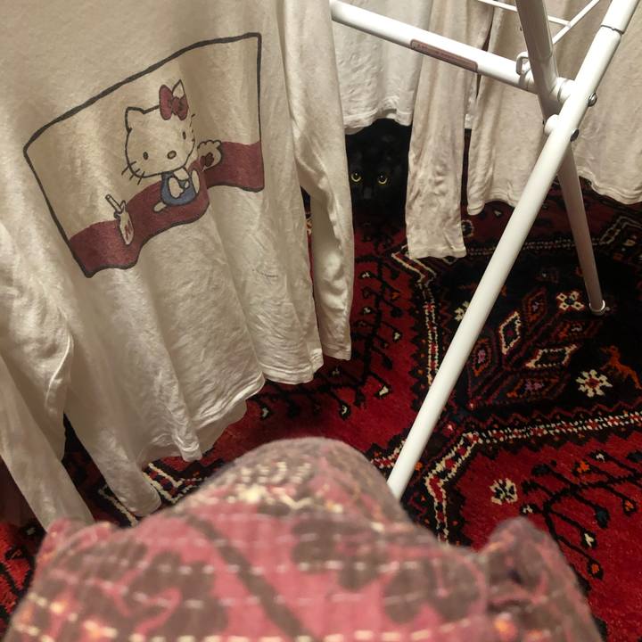 46ad05f4 191f 4dc4 bfab 7dc49af15e02 1616977647533