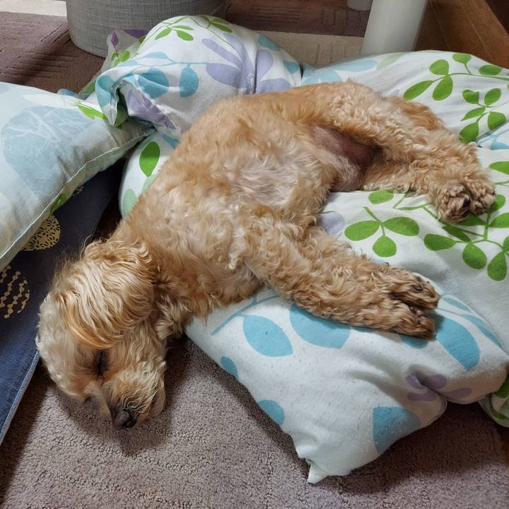 46ad6092 08d9 4346 a981 d9323dc73079 1651801067200