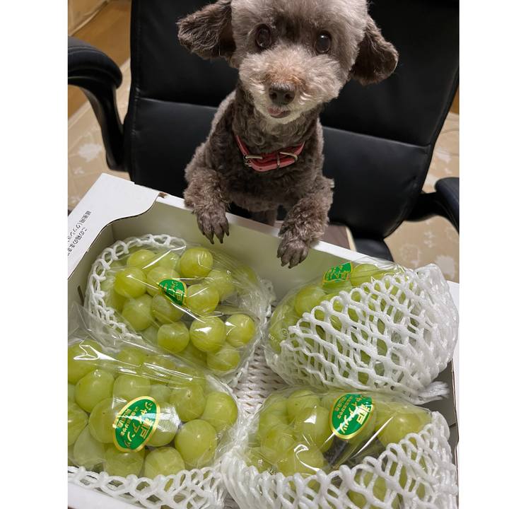 46ad8ba9 35d2 4b12 9378 3eee33baad51 1727516733004