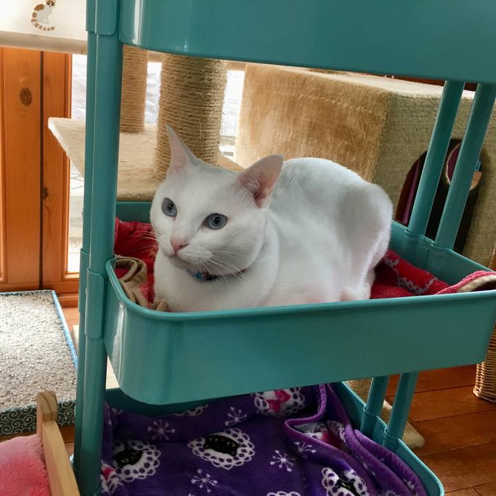 46ad8c04 e550 486b 811d 8bf613b98423 1525510778376