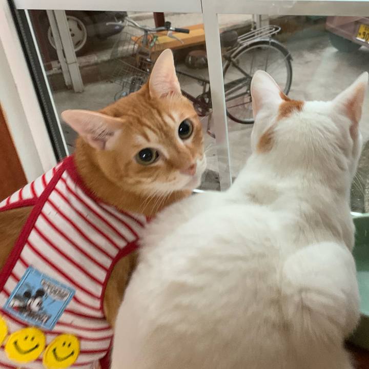 46adbac1 9d32 41e5 98c2 13c41dd35e42 1577506750749