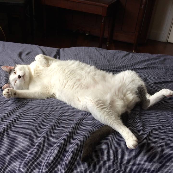 46add168 dc4a 4bfa b103 076a19fc1ff9 1549053863724