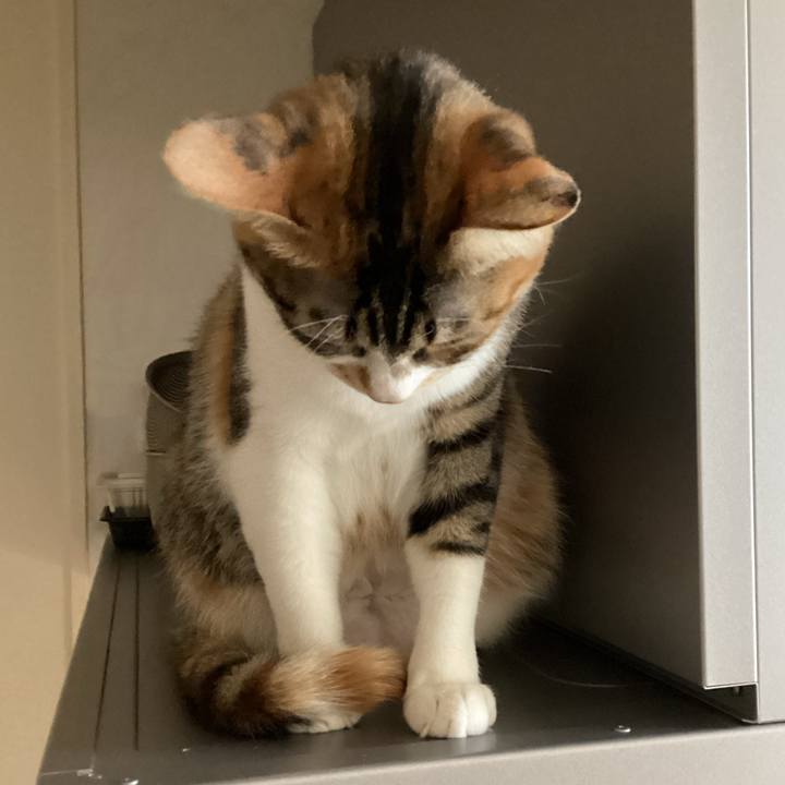 46add70f 97d6 4327 a260 e4288acfff98 1676673878011