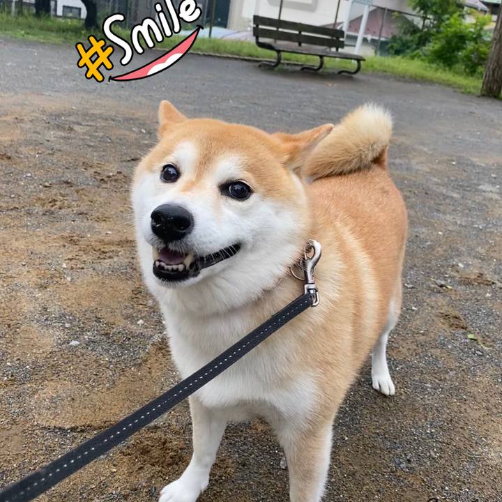 46addbf2 fdef 4892 b336 88cac0f0c514 1622154160789