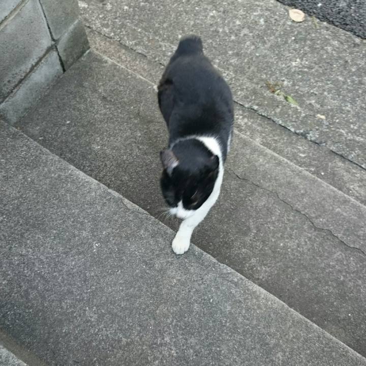 46ae31bd 60fd 42b3 a65b dc836bddc6e1 1518849250948