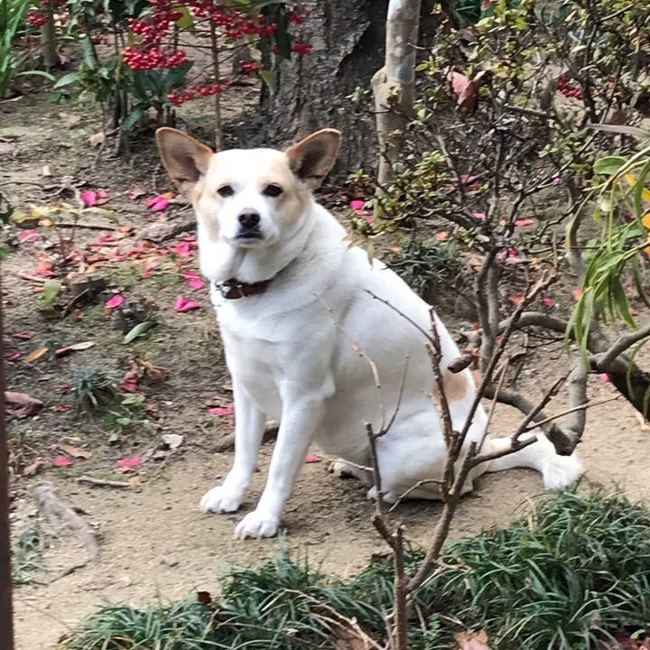 46ae4804 04e9 4018 83d7 6daaa65f42c1 1641439267629