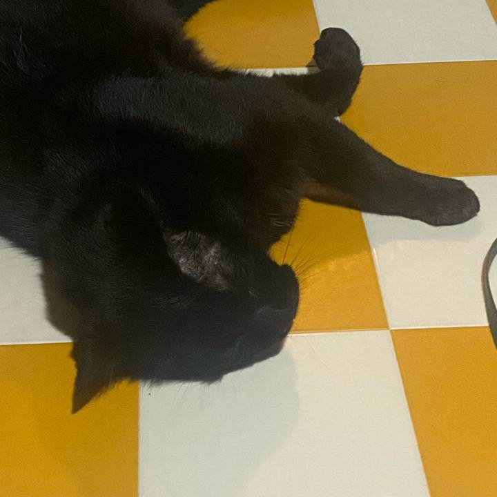 46ae662f 95bd 4062 9807 586ebde9015d 1718117460662