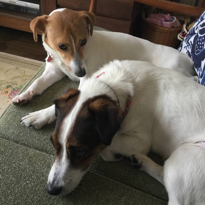 46ae9f35 47e0 4a2f af63 b76a86459831 1526434227451