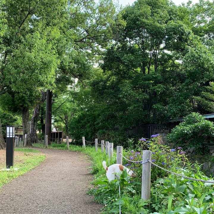 46aeb828 cde6 4833 80f8 e1567d46e125 1622248452348