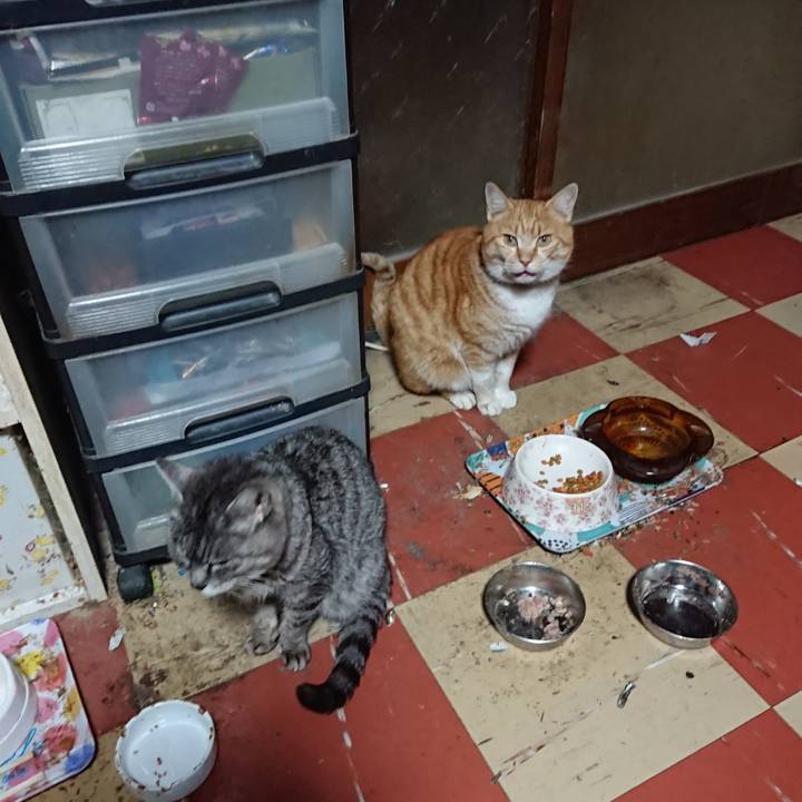 46aebc99 2694 4fef 8fc9 7974f46ad01e 1582105023443