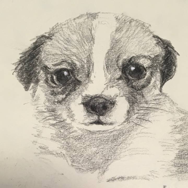 46af51cc 802b 410b b5b0 fdc76f4c0b03 1587226087925