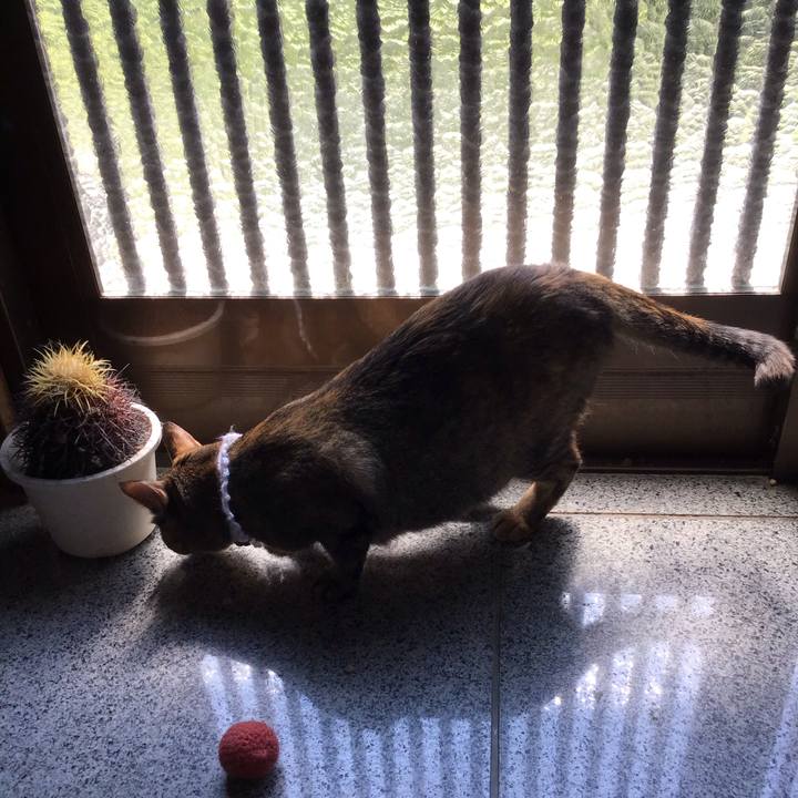 46af8084 ea65 4b22 84fb d2ef5176c5c8 1598064321807