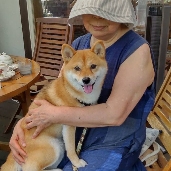 46aff8b7 fe88 46ab 8aec 55a2b918f323 1763433349292